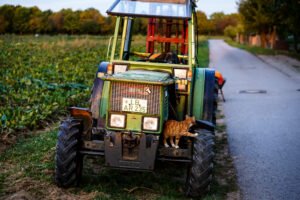 Vintage green and blue farm tractor parked next to a cultivated agricultural field.